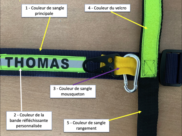Sangle tortue – Image 2