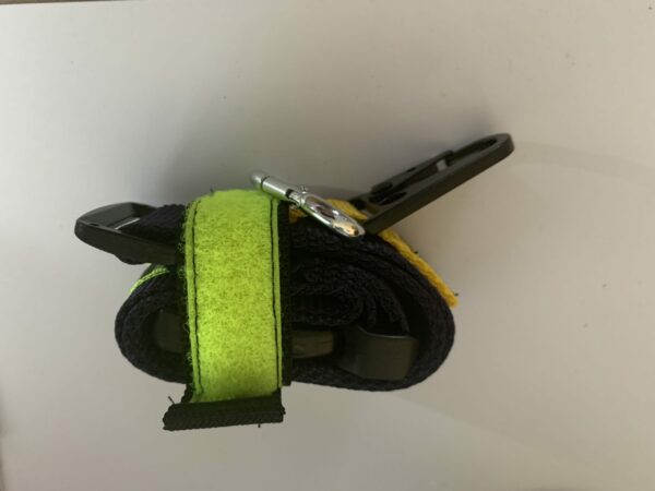 Sangle tortue – Image 12