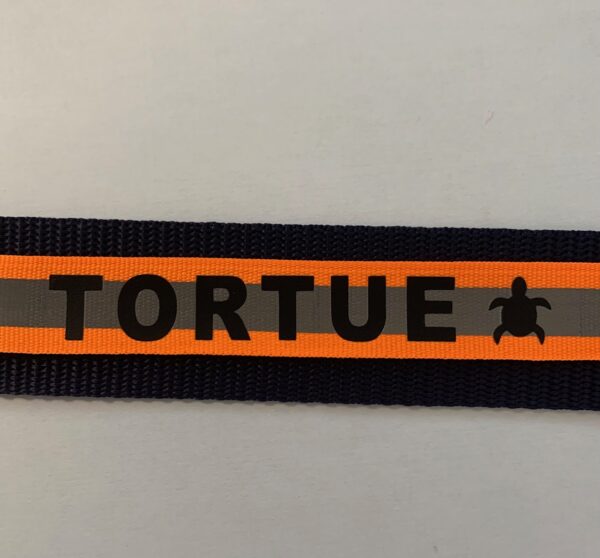 Sangle tortue – Image 15